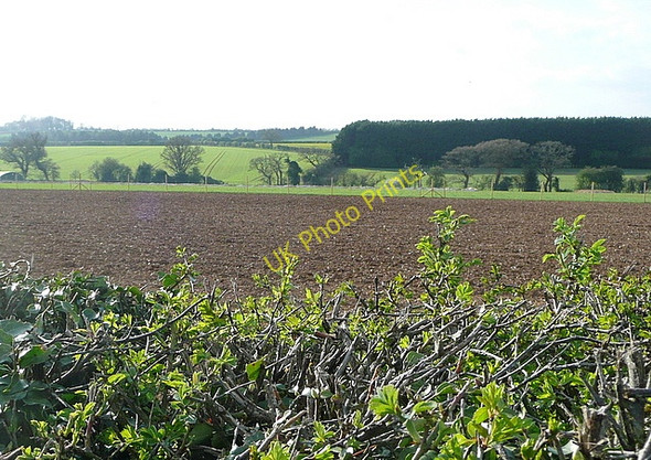 Photo 6"x4" Land at Upper Norton Farm Upper Bullington c2011