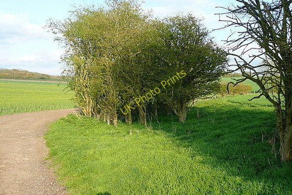 Photo 6"x4" Bridleway towards Norton Wood Upper Bullington c2011