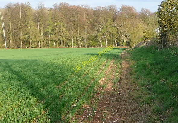 Photo 6"x4" Towards Laverstoke Lane West Stratton c2011