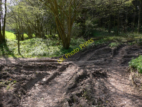 Photo 6"x4" Burntoak Gate East Dean\/SU9013 c2011