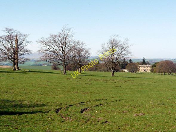 Photo 6"x4" Parkland south of Lemmington Hall Edlingham c2011