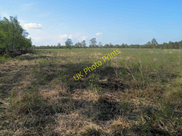 Photo 6"x4" Crowle Waste or Moors Crowle Hill c2011