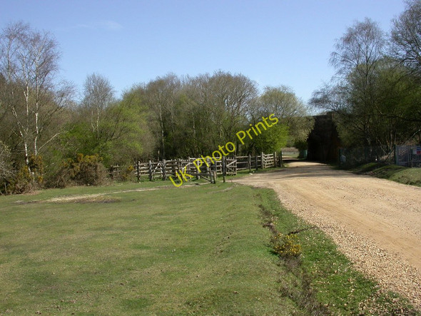 Photo 6"x4" Setley, stock pens Setley c2011