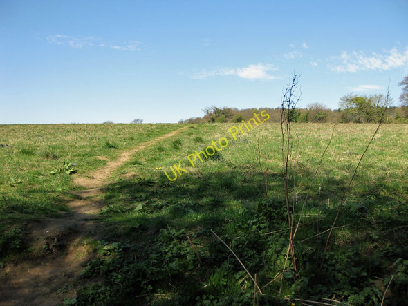 Photo 6"x4" Footpath to Swineherd Lane Keldholme c2011