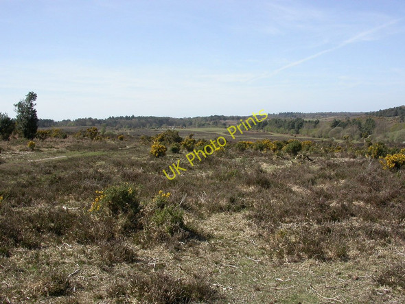 Photo 6"x4" Blackhamsley Hill South Weirs c2011