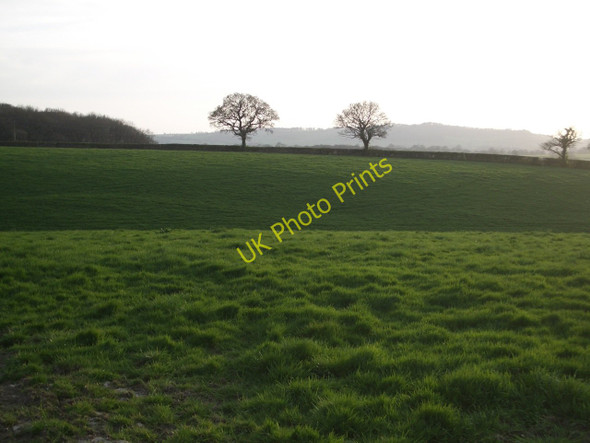 Photo 6"x4" Hilfield: pasture land in evening light Three Gates\/ST6307 c2011