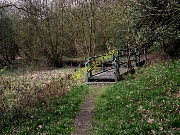 Photo 6"x4" Steps to the boardwalk Leek\/SJ9856 c2011