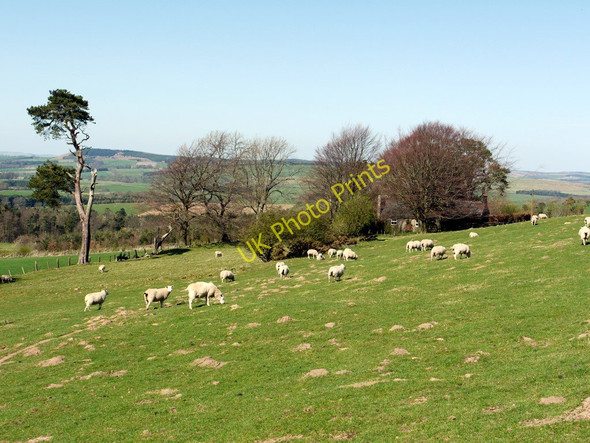 Photo 6"x4" Cottage west of Lemmington Branch Rugley c2011