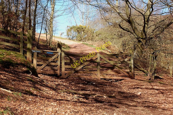 Photo 6"x4" Gate at the edge of Broad Wood, Eildon Hills Melrose\/NT5434 c2011