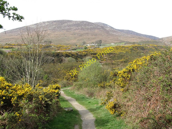 Photo 6"x4" The lower section of the Brandy Pad Newcastle\/J3732 c2011