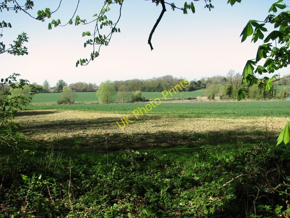 Photo 6"x4" Fields beside the path from Brooke to Seething Brooke\/TM2899 c2011