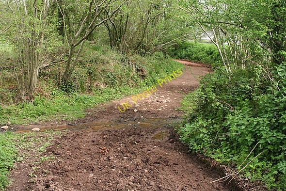Photo 6"x4" Cullompton: stream crossing Colebrook c2011