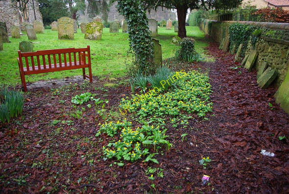 Photo 6"x4" Churchyard at Ingoldisthorpe Ingoldisthorpe c2011