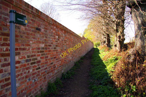 Photo 6"x4" Footpath by the wall South Moreton c2011