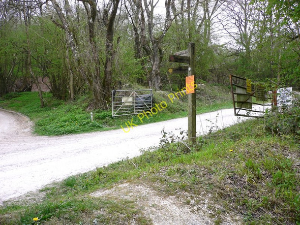 Photo 6"x4" Signpost by entrance to Duncton Quarry East Lavington c2011