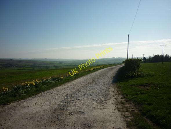 Photo 6"x4" The way to Rose Mount Farm, above Weaverthorpe Weaverthorpe c2011