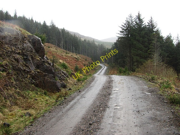 Photo 6"x4" Forest, Loch Frisa Loch Carnain an Amais c2011