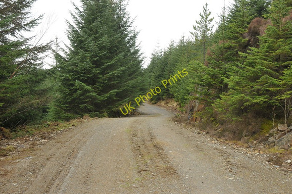 Photo 6"x4" Forestry road near Barcaldine Barcaldine c2011