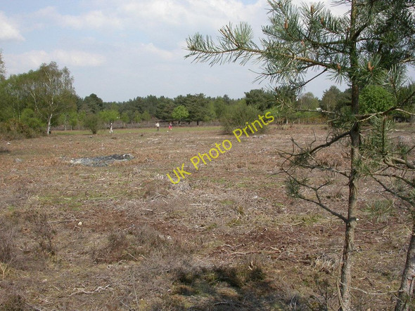 Photo 6"x4" Avon Heath, regeneration Grange Estate c2011