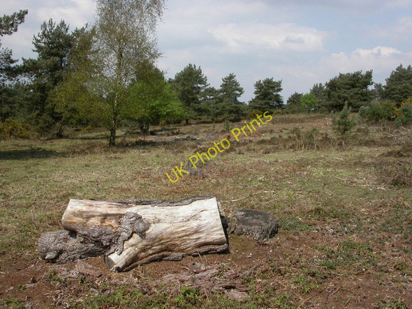 Photo 6"x4" Avon Heath, regeneration Grange Estate c2011
