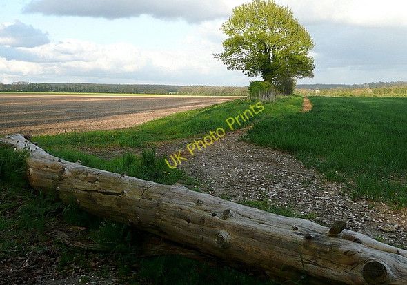 Photo 6"x4" Farmland at Northbrook Farm West Stratton c2011