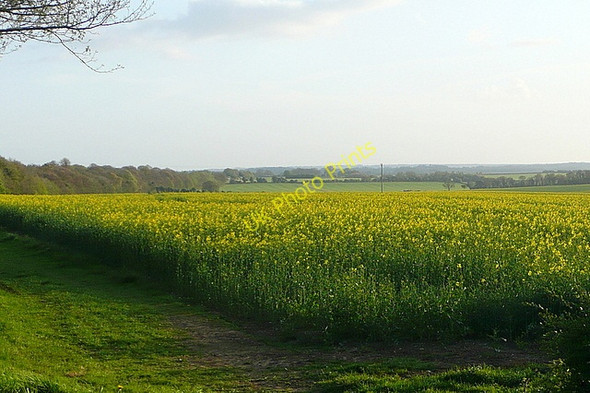 Photo 6"x4" Field at Micheldever West Stratton c2011
