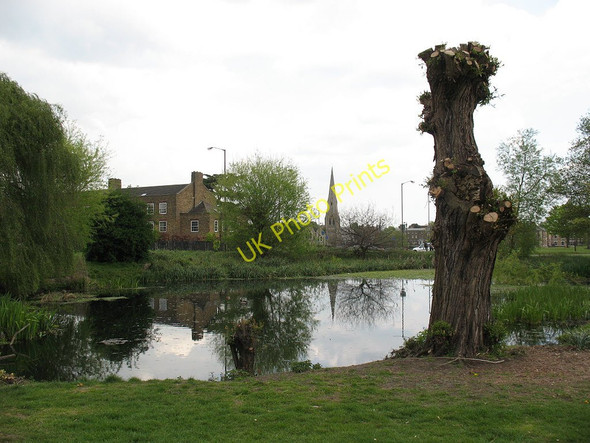 Photo 6"x4" Small pond on Blackheath Greenwich\/TQ3977 c2011