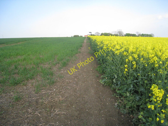 Photo 6"x4" The footpath from Cadney Cadney c2011
