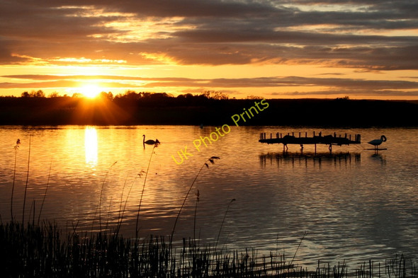 Photo 6"x4" A Sunset Idyll on Spynie Loch Windyridge\/NJ2367 c2011