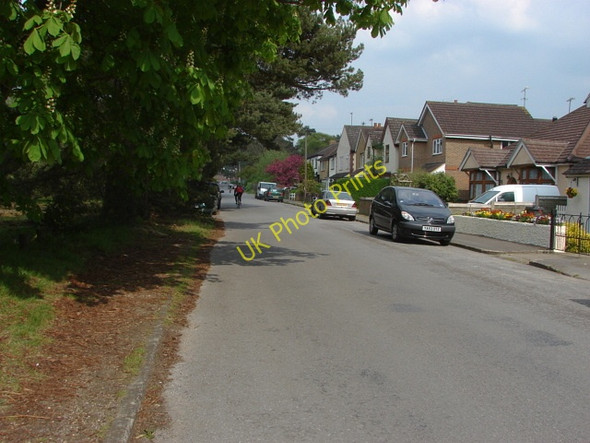 Photo 6"x4" Blackdown Road Frimley c2011