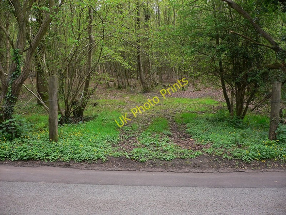 Photo 6"x4" Track into Greatham Common Greatham\/TQ0415 c2011