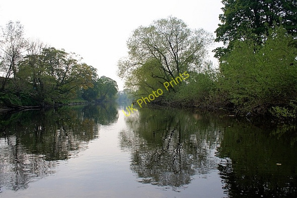 Photo 6"x4" River Tees near Liberty Wood Girsby\/NZ3508 c2011