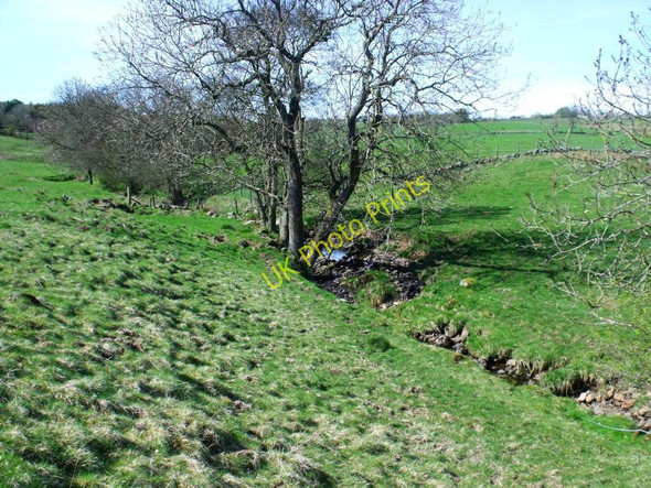 Photo 6"x4" The Boards Burn Craigend\/NS7887 c2011