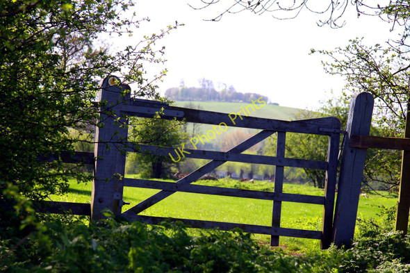 Photo 6"x4" Gate on the Thames Path Burcot\/SU5695 c2011