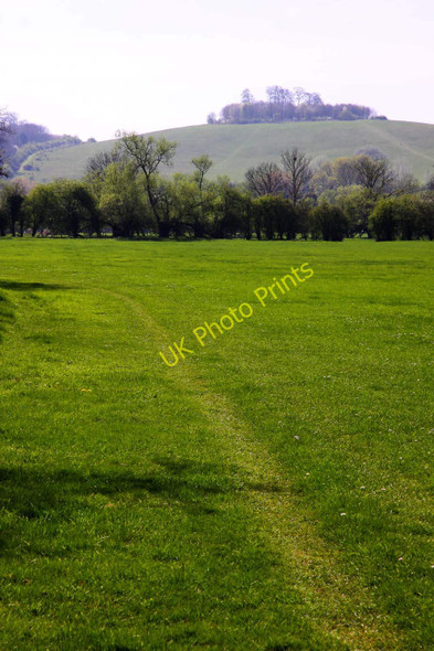 Photo 6"x4" The Thames Path Burcot\/SU5695 c2011
