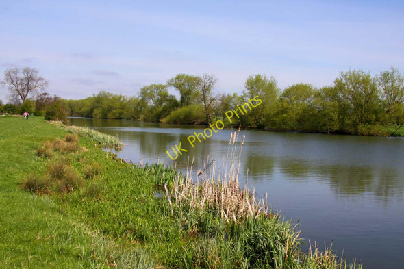 Photo 6"x4" The River Thames at Little Wittenham Little Wittenham c2011