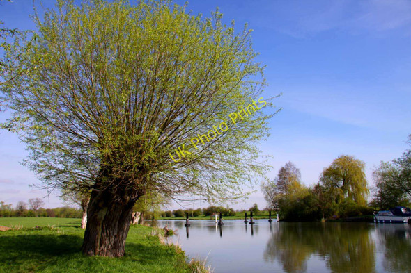 Photo 6"x4" The River Thames by Days Lock Little Wittenham c2011