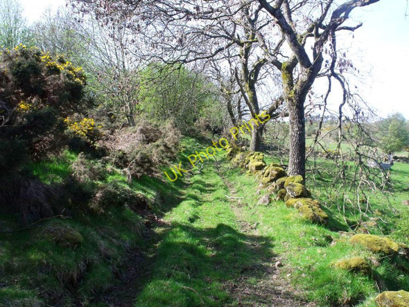 Photo 6"x4" Track, Hall Quarter to Boards Craigend\/NS7887 c2011
