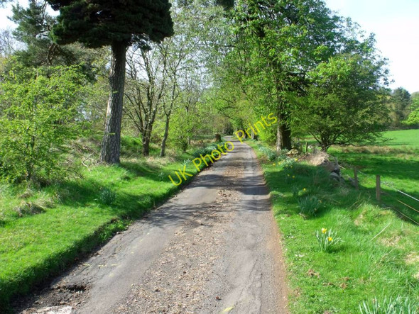 Photo 6"x4" Road to Braes Denny c2011