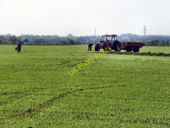 Photo 6"x4" Rixton Moss Rixton c2011