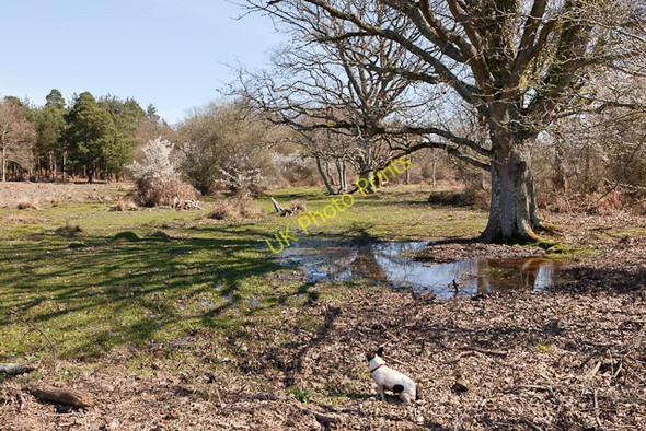 Photo 6"x4" Latchmore Brook restoration Ogdens c2011