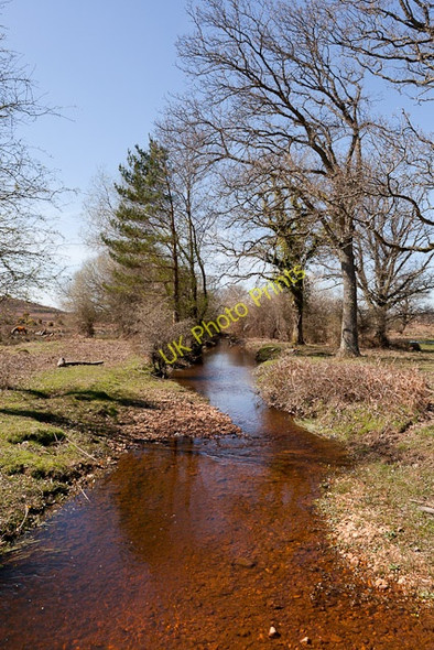 Photo 6"x4" Latchmore Brook restoration Ogdens c2011