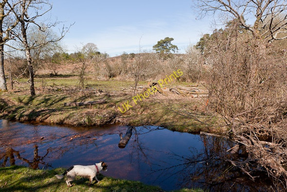 Photo 6"x4" Latchmore Brook restoration Ogdens c2011
