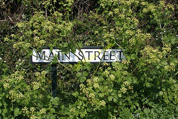 Photo 6"x4" Blackawton: 'Main Street' Blackawton c2011