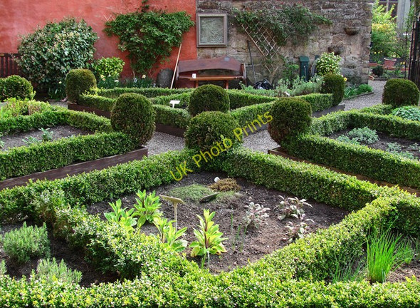 Photo 6"x4" Garden in Abbott House, Dunfermline. Dunfermline c2011