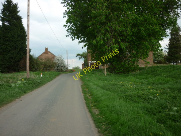 Photo 6"x4" Lordship Lane near Ivy Grange Dawker Hill c2011