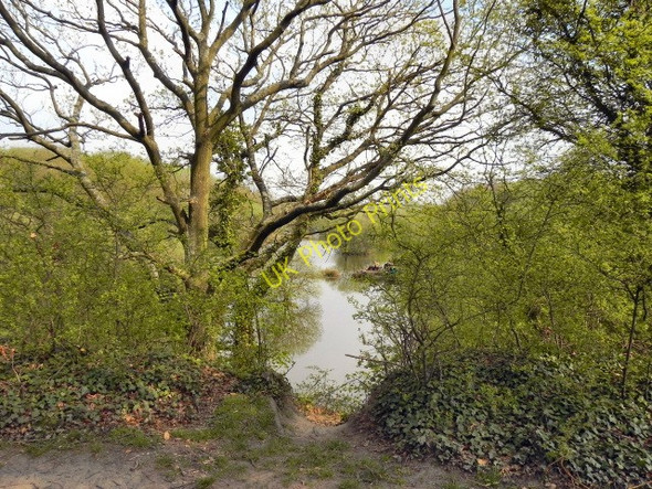 Photo 6"x4" Rixton Claypits, Northern Pool Rixton c2011