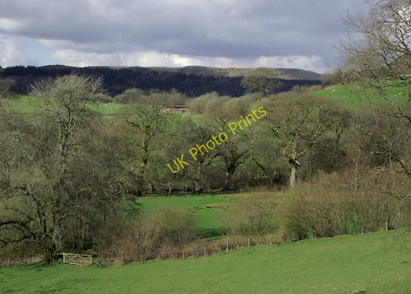Photo 6"x4" Farmland south of Rhandirmwyn, Carmarthenshire Cilycwm c2011