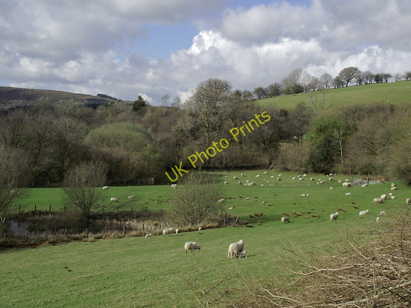 Photo 6"x4" Pasture south of Rhandirmwyn, Carmarthenshire Cilycwm c2011
