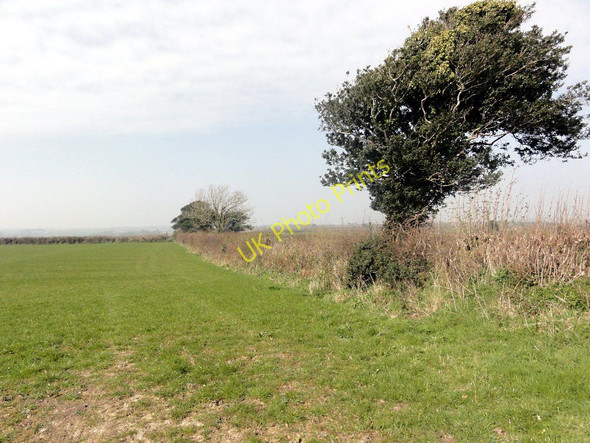 Photo 6"x4" Grass Field at the top of Stockham's Hill Vicarage c2011